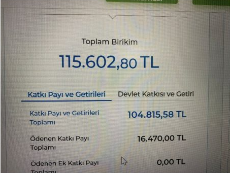 Örnek bir BES portföyü ekranı